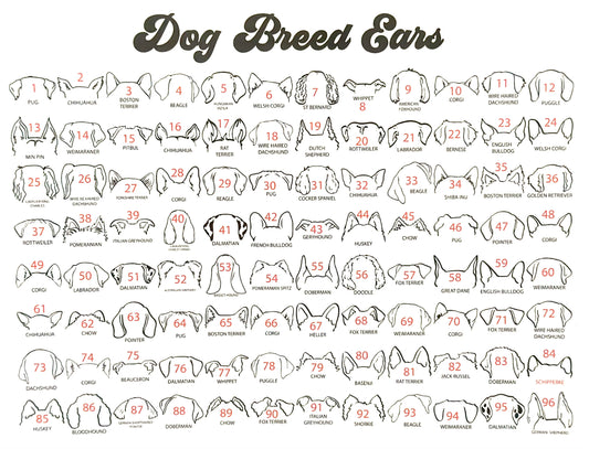 Custom Pet Ears Ornaments